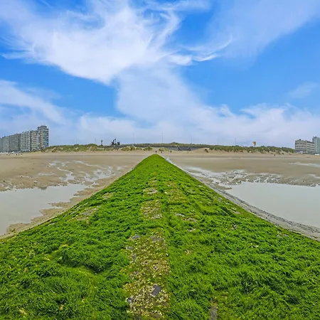 Les Mouettes 301 With Garage Located On The Dike 코크시데